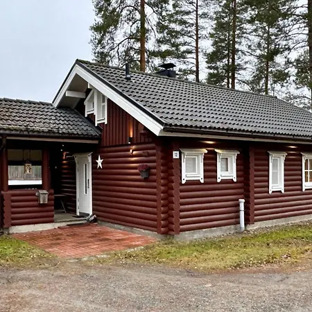 Nipashonka 12 Dom wakacyjny Nilsiä